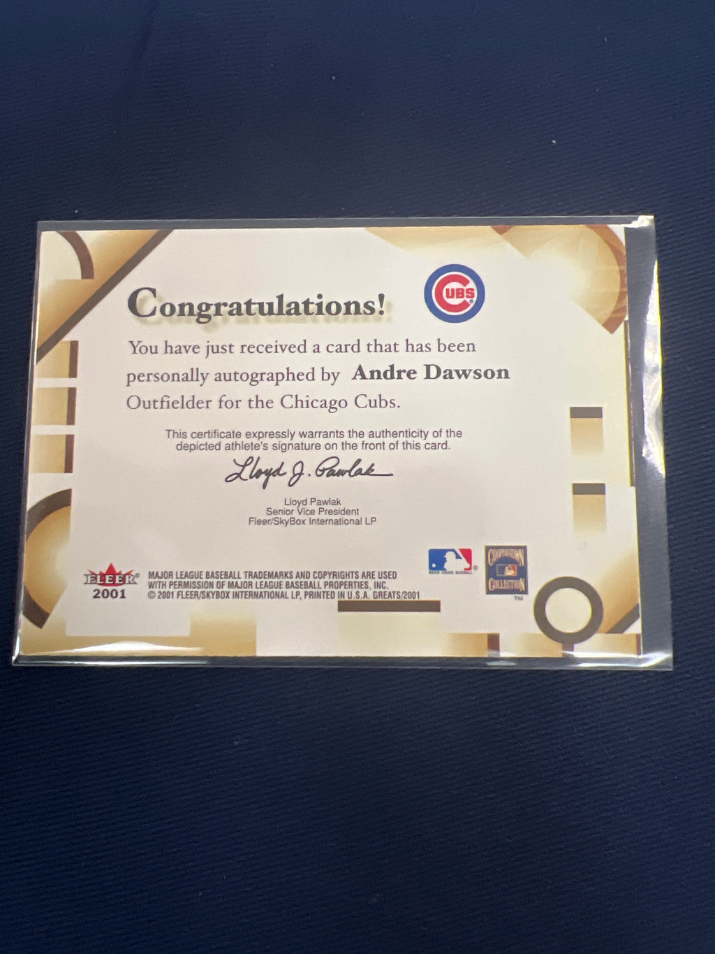 Baseball: Andre Dawson / Chicago Cubs