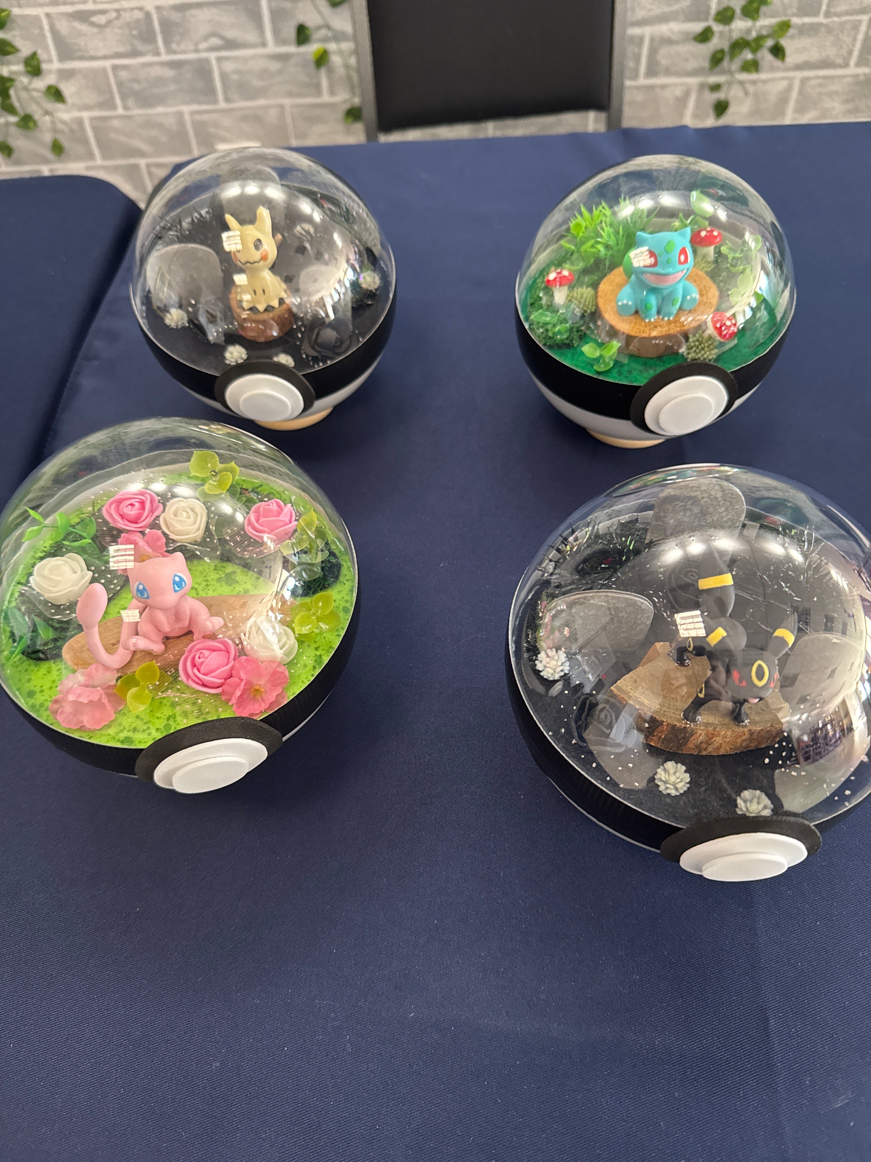 Pokemon Display Balls